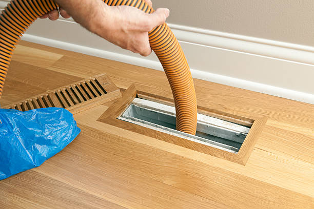 Best Ductwork Cleaning Services  in Wolf Lake, MI