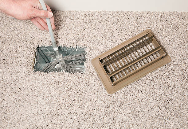 Best Air Duct Sanitizing Services  in Wolf Lake, MI