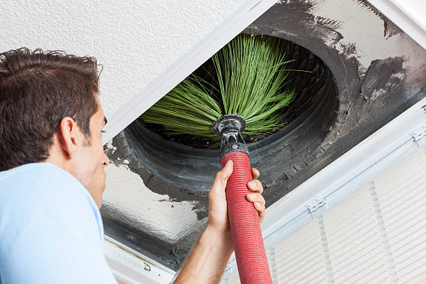 Best Air Duct Cleaning Near Me  in Wolf Lake, MI