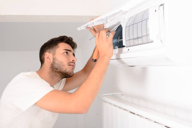 Best Affordable HVAC Duct Cleaning  in Wolf Lake, MI